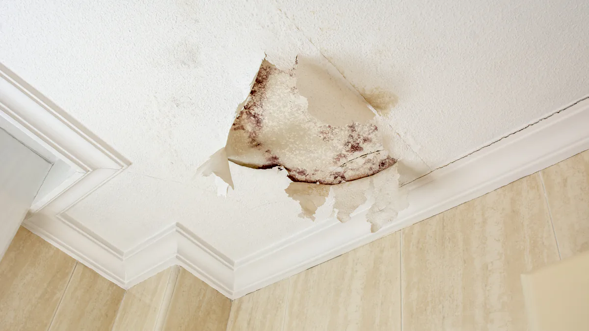 Decke in einem gefliesten Bad: An einer begrenzten Stelle nahe der Deckenleiste ist die Farbe abgeplatzt und hängt in Fetzen herab, darunter braun gefleckter Untergrund, daneben ein gelblich verfärbter Fleck